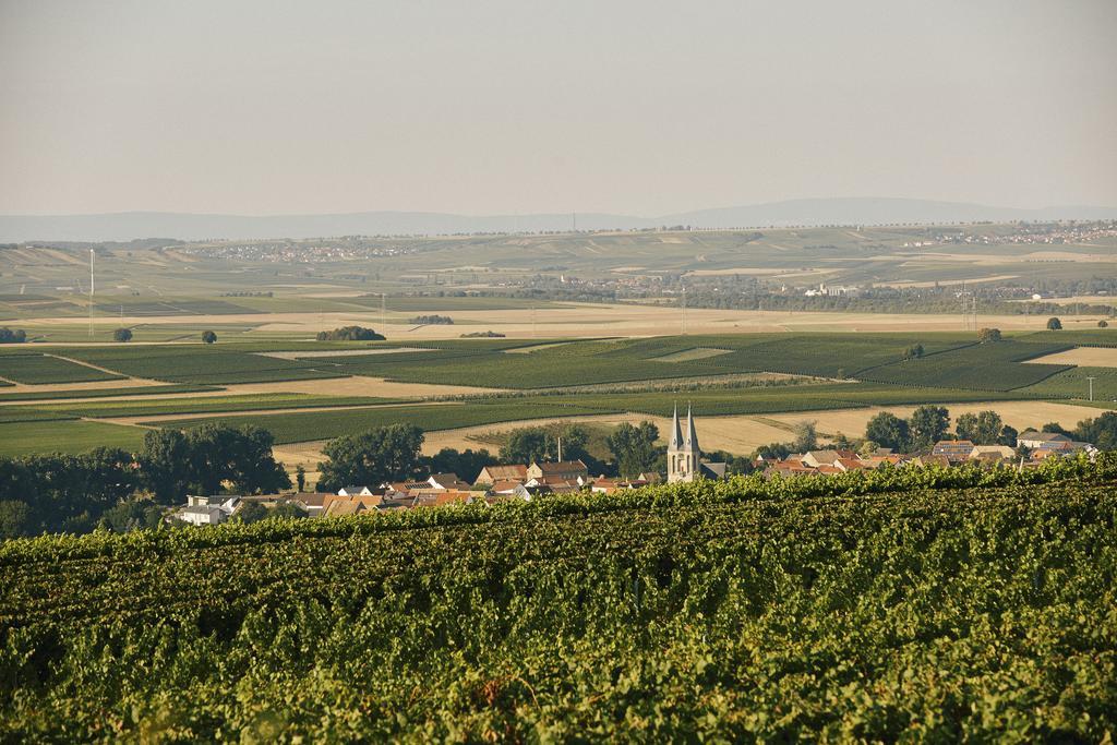 Meyerhof - Bioweingut, Vinothek & Gaestehaus Flonheim Exteriér fotografie