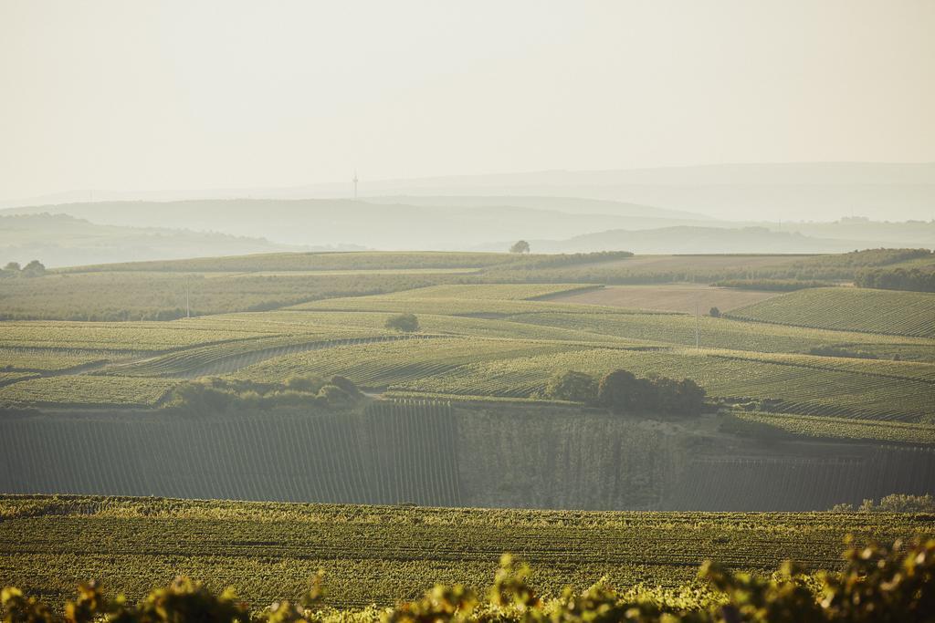 Meyerhof - Bioweingut, Vinothek & Gaestehaus Flonheim Exteriér fotografie