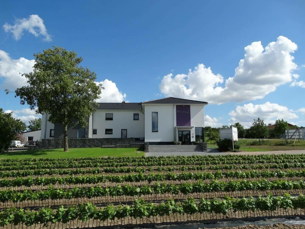 Meyerhof - Bioweingut, Vinothek & Gaestehaus Flonheim Exteriér fotografie